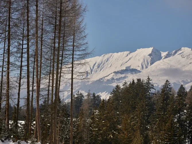 <p>Ein Wintertag <i>als Praxis</i></p>