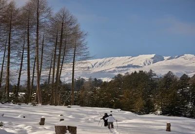 Schneeschuhwandern durch verschneiten Winterwald